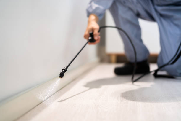 Licensed Termite Control service in Cheverly, MD - Nex Pest Control