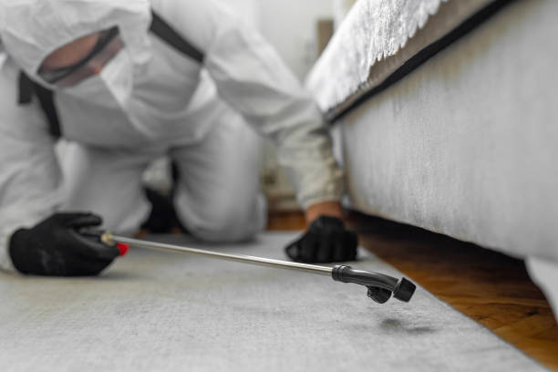 Professional Termite Control technician working in Cheverly, MD