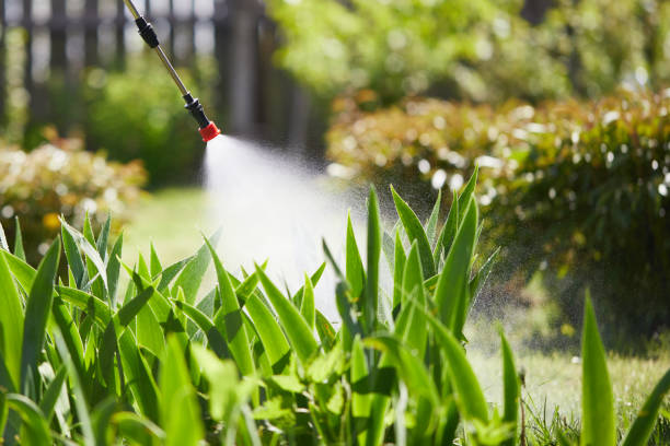 24/7 Emergency Termite Control experts in Cheverly, MD